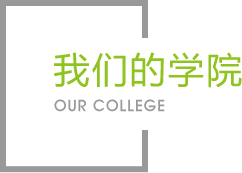 球速体育官网